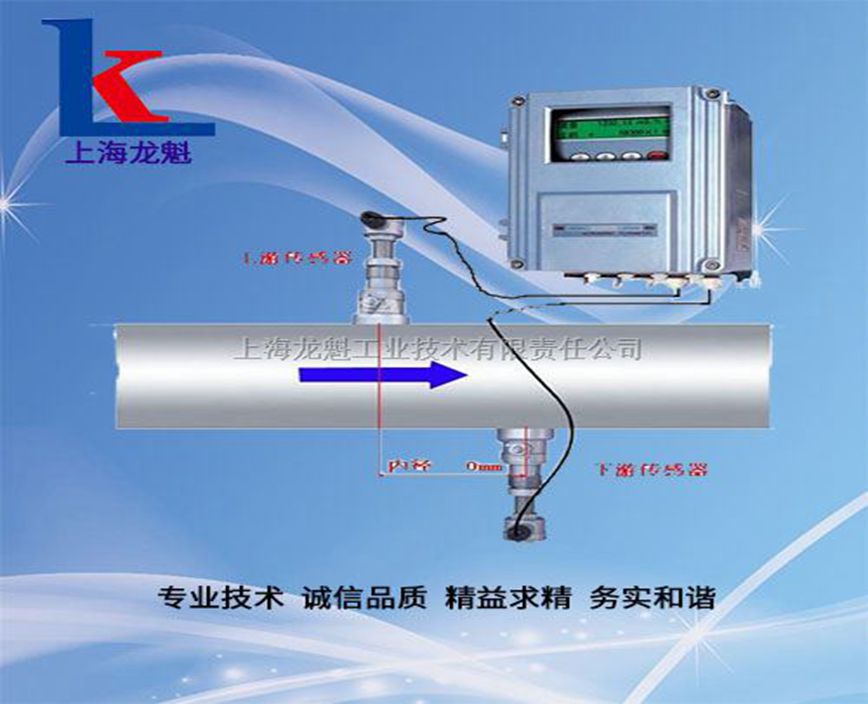 上海TDS型插入式超聲波流量計(jì)